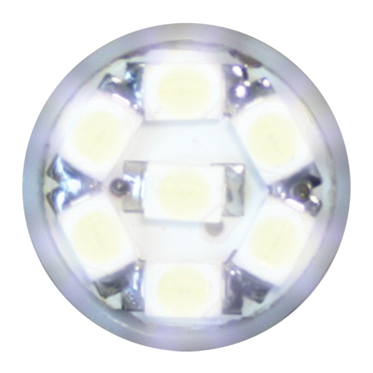 #194/168 WHITE 7-LED LIGHT BULBS, 12V, PAIR