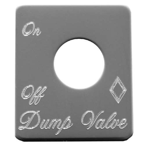 S/S SWITCH PLATE DUMP VALUE