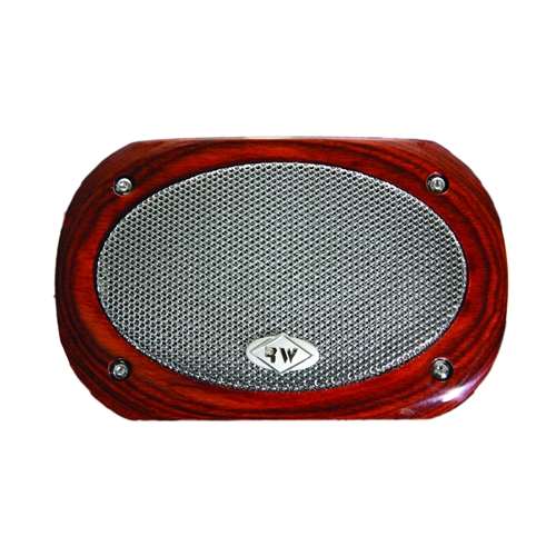 SPEAKER FRAME WITH CHROME GRIL
