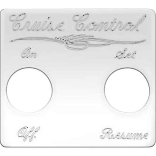 S/S SWITCH PLATE CRUISE CONTRO