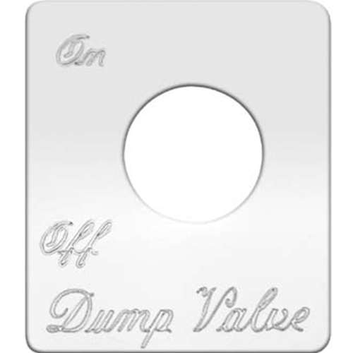 S/S SWITCH PLATE DUMP VALVE