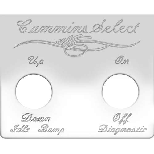 S/S SWITCH PLATE CUMMIN
